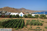 Kalafatis | Mykonos | Griekenland - De Griekse Gids foto 1