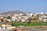Ano Mera | Mykonos | Griekenland - De Griekse Gids foto 2