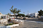 Ano Mera | Mykonos | Griekenland - De Griekse Gids foto 15