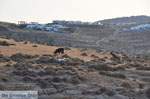 Kalafatis | Mykonos | Griekenland - De Griekse Gids foto 14