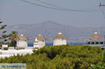 Mykonos stad (Chora) | Griekenland | De Griekse Gids foto 82