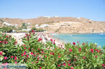 Super Paradise strand | Mykonos | Griekenland foto 17