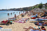 Paradise Beach Mykonos (Kalamopodi) | Griekenland | De Griekse Gids foto 7