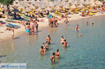 Paradise Beach Mykonos (Kalamopodi) | Griekenland | De Griekse Gids foto 16