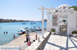 Platis Gialos Mykonos | Griekenland | De Griekse Gids foto 3