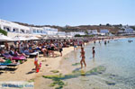 Platis Gialos Mykonos | Griekenland | De Griekse Gids foto 13