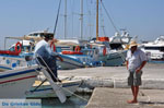 Platis Gialos Mykonos | Griekenland | De Griekse Gids foto 14