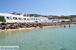Platis Gialos Mykonos | Griekenland | De Griekse Gids foto 16