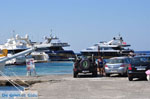 Platis Gialos Mykonos | Griekenland | De Griekse Gids foto 19