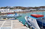 Platis Gialos Mykonos | Griekenland | De Griekse Gids foto 20