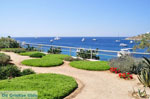 Psarou beach Mykonos | Psarou strand | De Griekse Gids foto 8